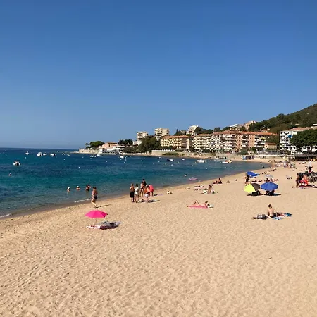 شقة Trottel A Livia